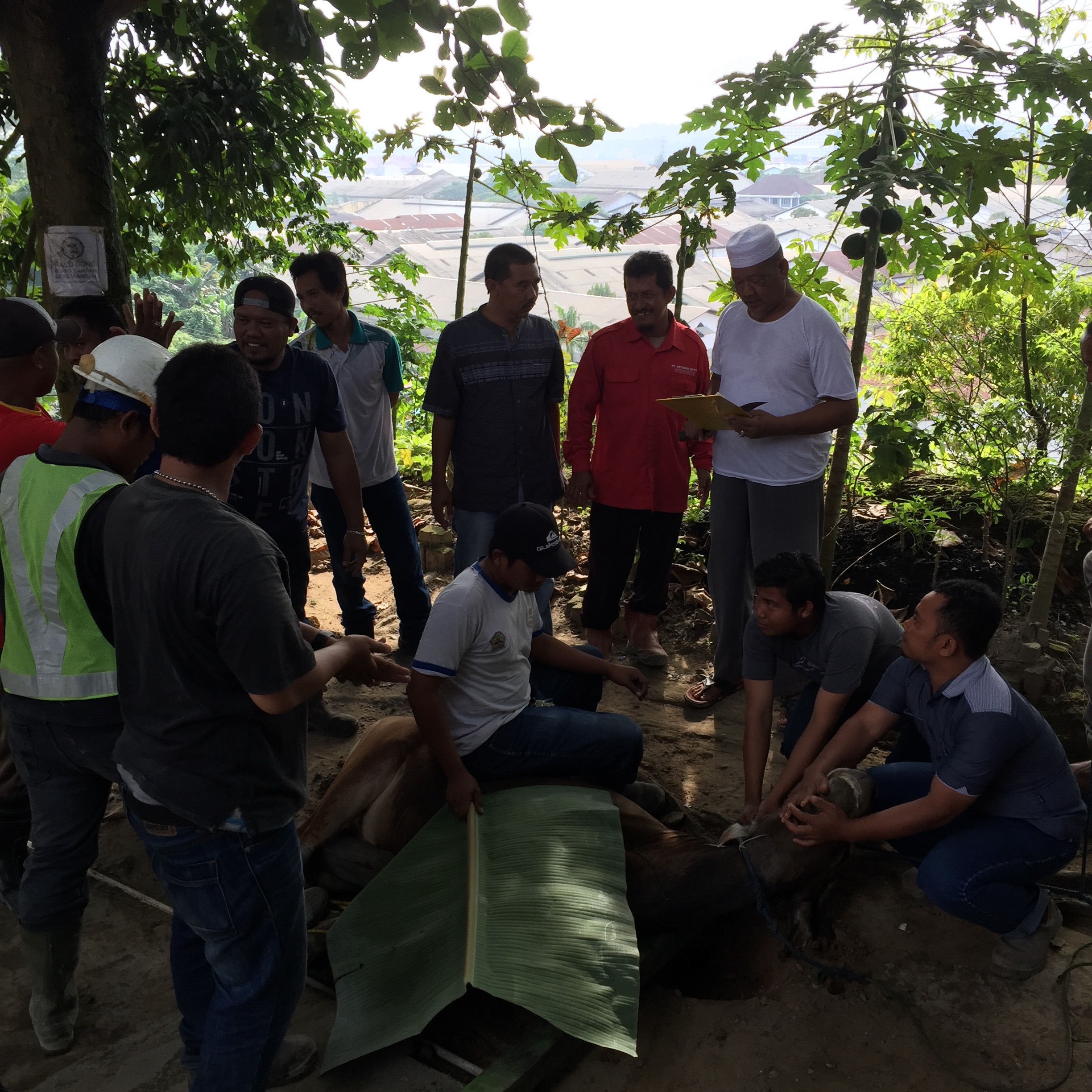 PT. Artanusa Beton, berqurban memperingati Idul Adha 1438 H